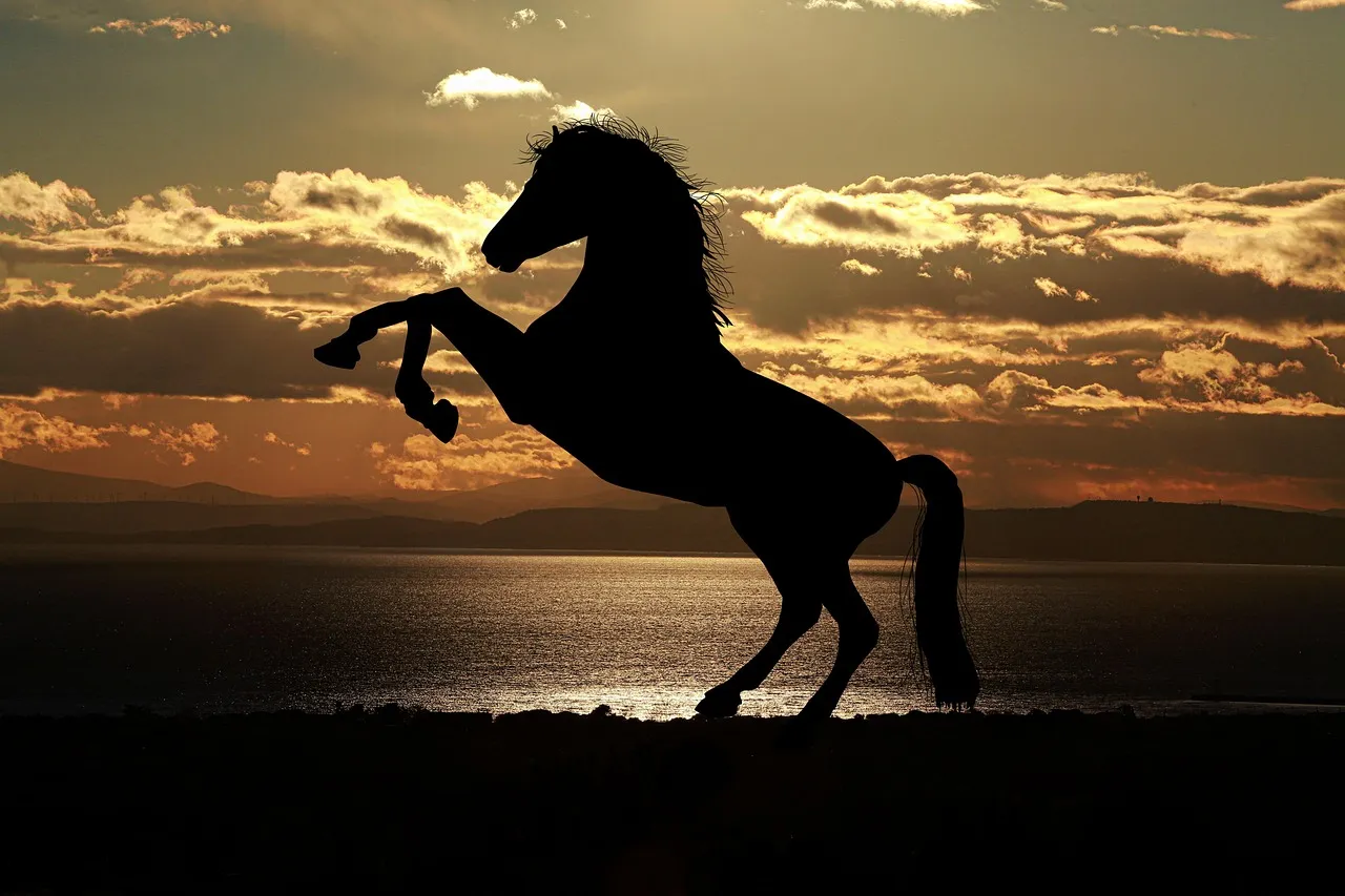 A horse rearing in silhouette against a sunset over the sea