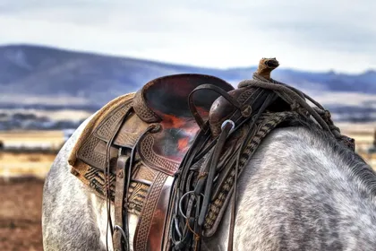A worn tooled western saddle and bridle on the back of a dappled grey horse, with open country and low hills behind