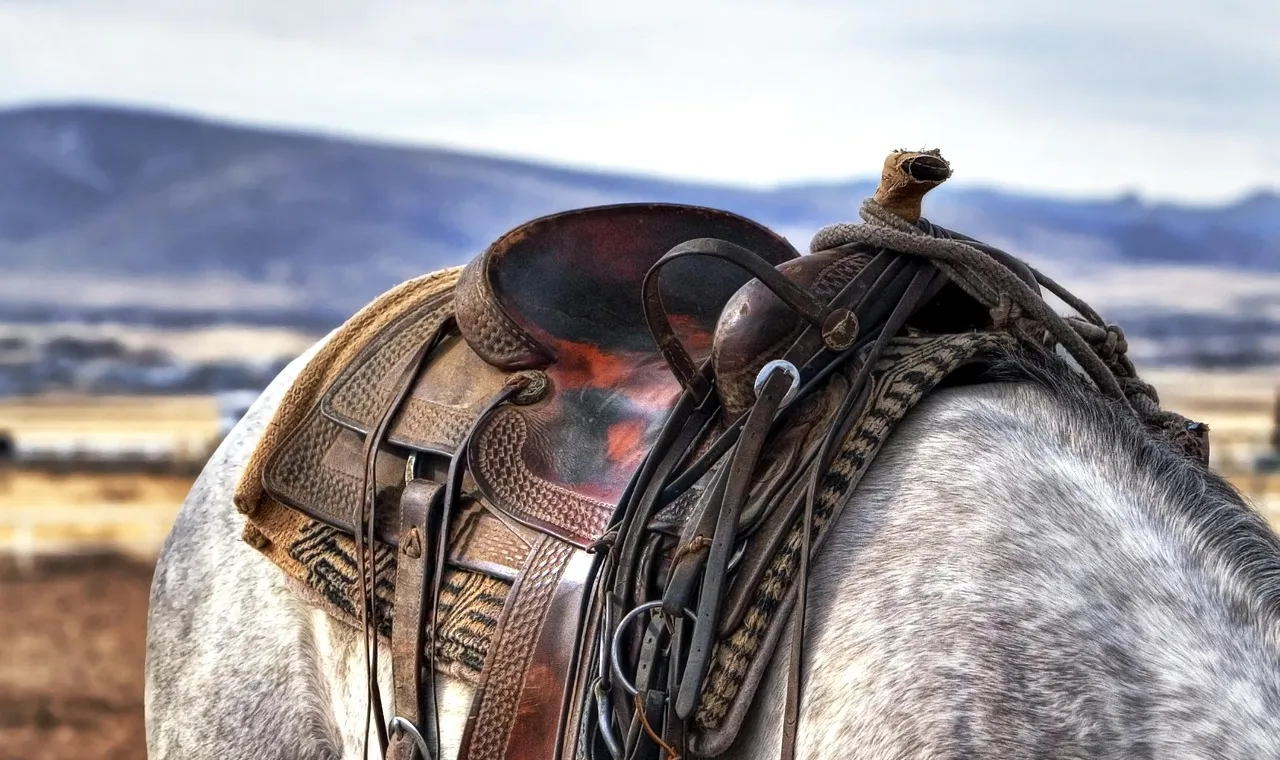 A worn tooled western saddle and bridle on the back of a dappled grey horse, with open country and low hills behind