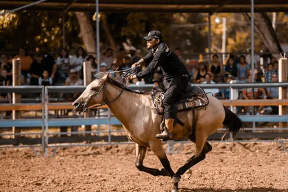 A young rider in a black hat turning a chestnut quarter horse hard in a sandy arena, cattle and spectators behind